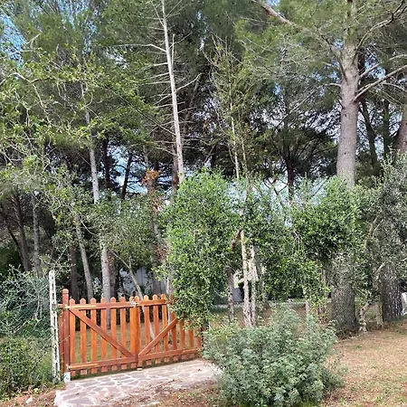 Podere Campalto Séjour à la ferme