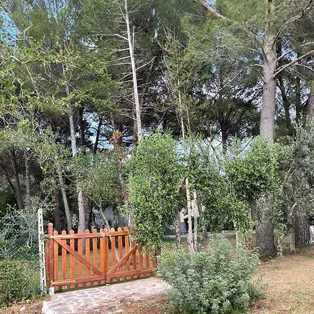 Podere Campalto Farm stay