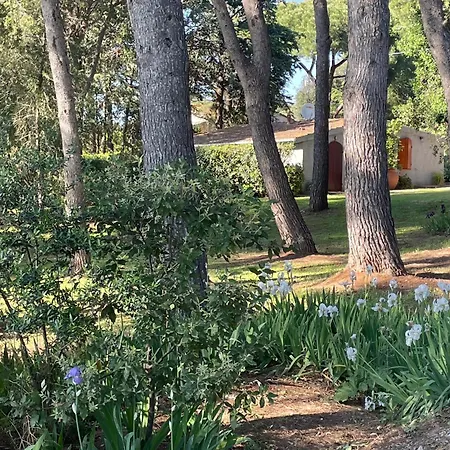 Podere Campalto Farm stay Campiglia Marittima