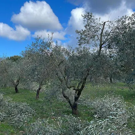 Podere Campalto *