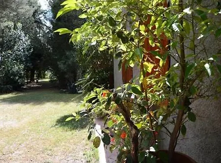 Podere Campalto Séjour à la ferme Campiglia Marittima