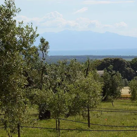 Séjour à la ferme Podere Campalto *