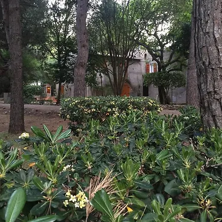 Podere Campalto * 캄필리아 마리티마
