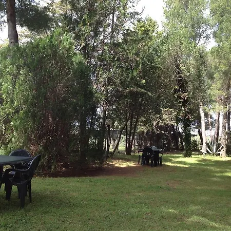 Podere Campalto Farm stay Campiglia Marittima