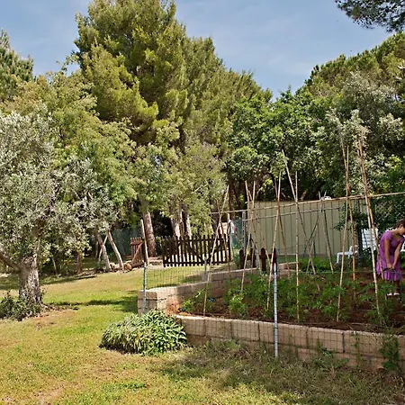 Podere Campalto * Campiglia Marittima