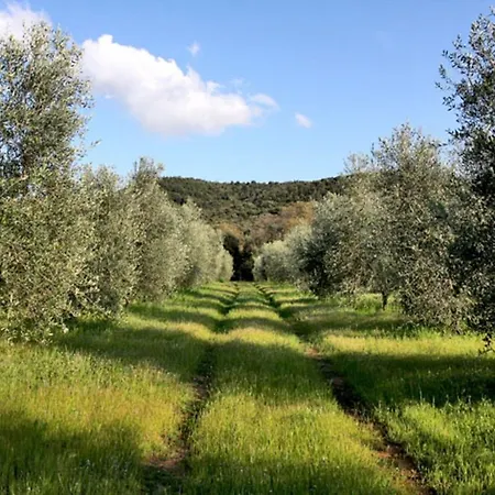 Podere Campalto
