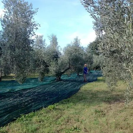 Séjour à la ferme Podere Campalto *