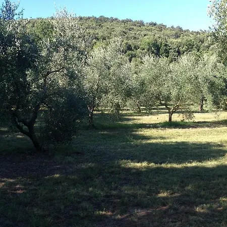 Podere Campalto