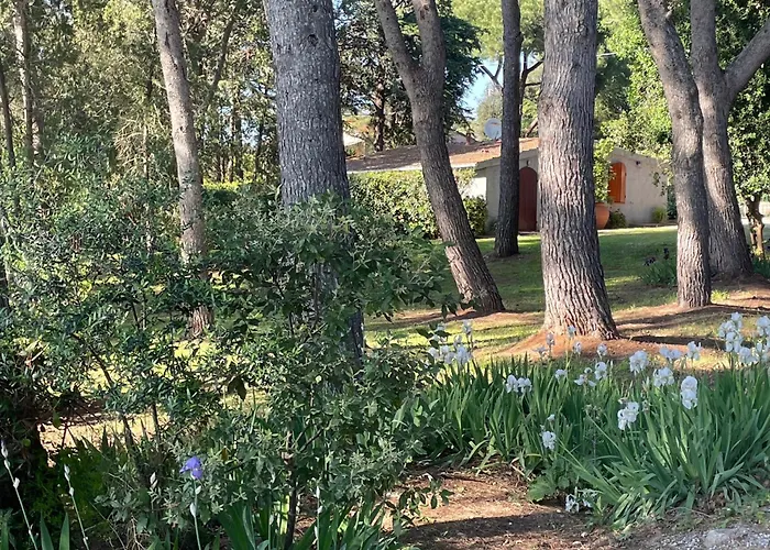 Podere Campalto Farm stay Campiglia Marittima