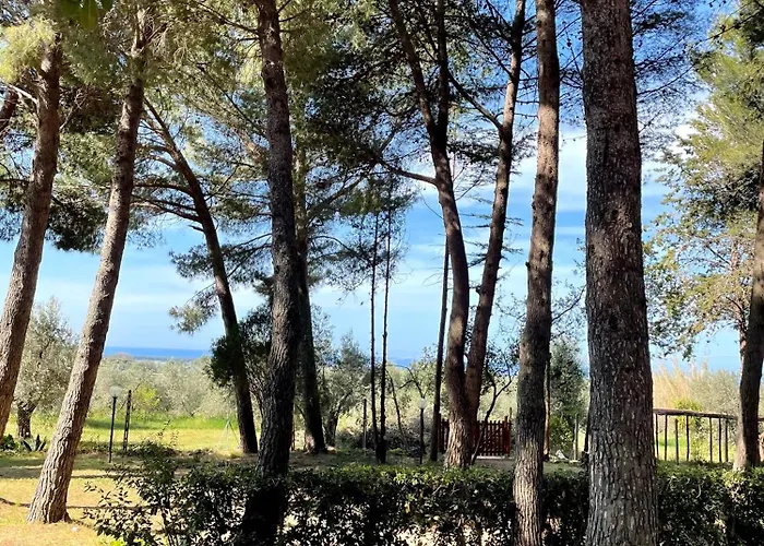 Farm stay Podere Campalto *