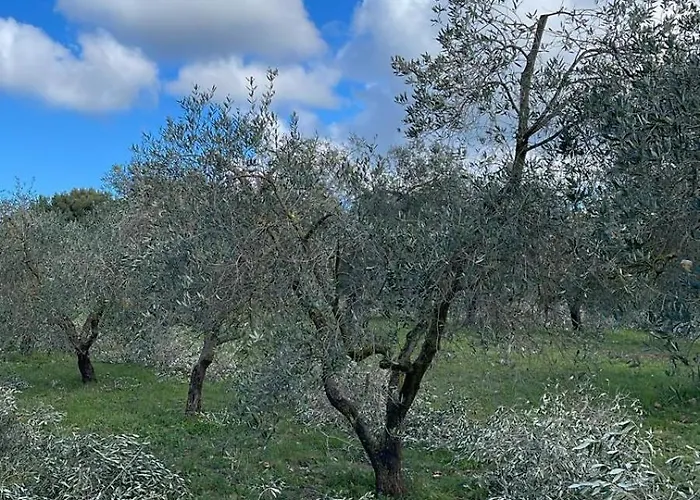 Podere Campalto *