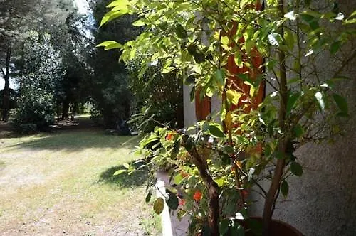 Podere Campalto Farm stay Campiglia Marittima