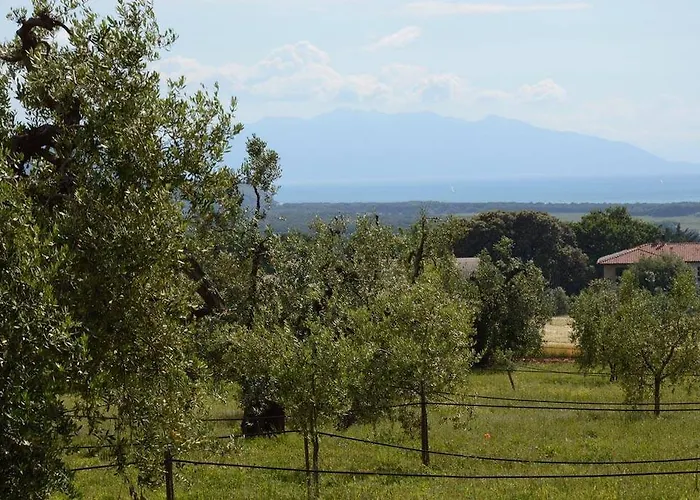Farm stay Podere Campalto *