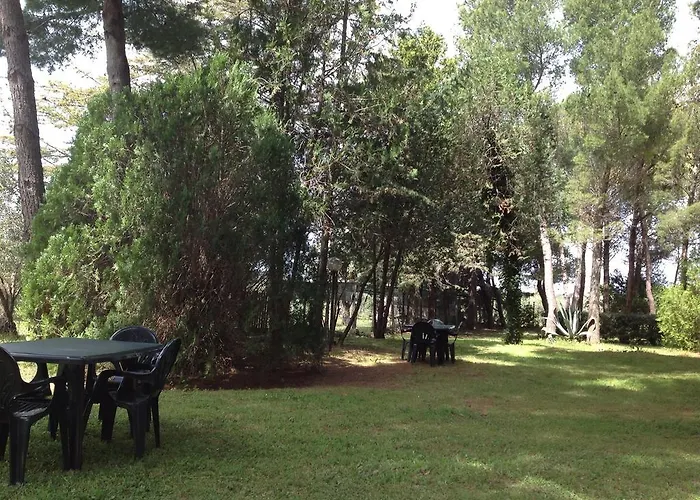 Podere Campalto Farm stay Campiglia Marittima