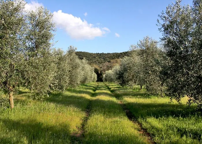 Podere Campalto
