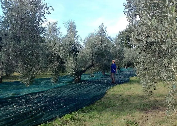 Farm stay Podere Campalto *