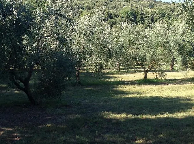 Podere Campalto