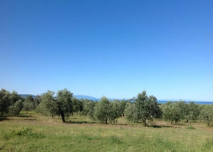 Farm stay Podere Campalto *